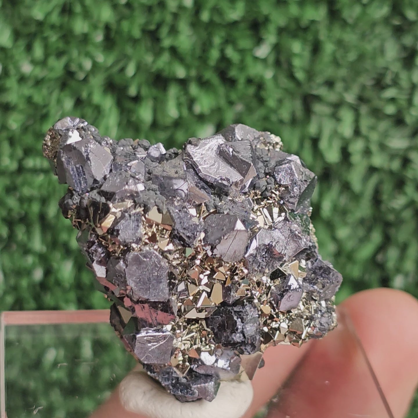 Load video: crystallized galena with Pyrite octahedral