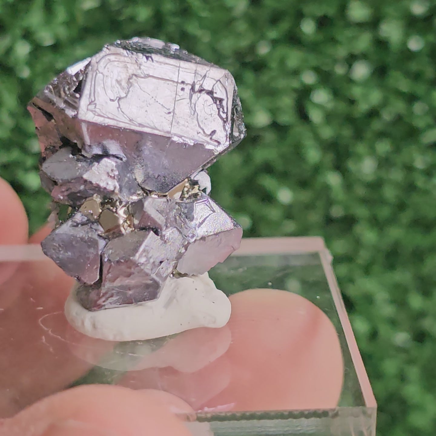 Load video: Galena with Pyrite octahedral