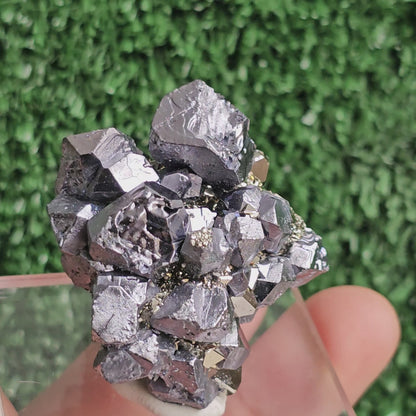 crystallized galena with Pyrite octahedral