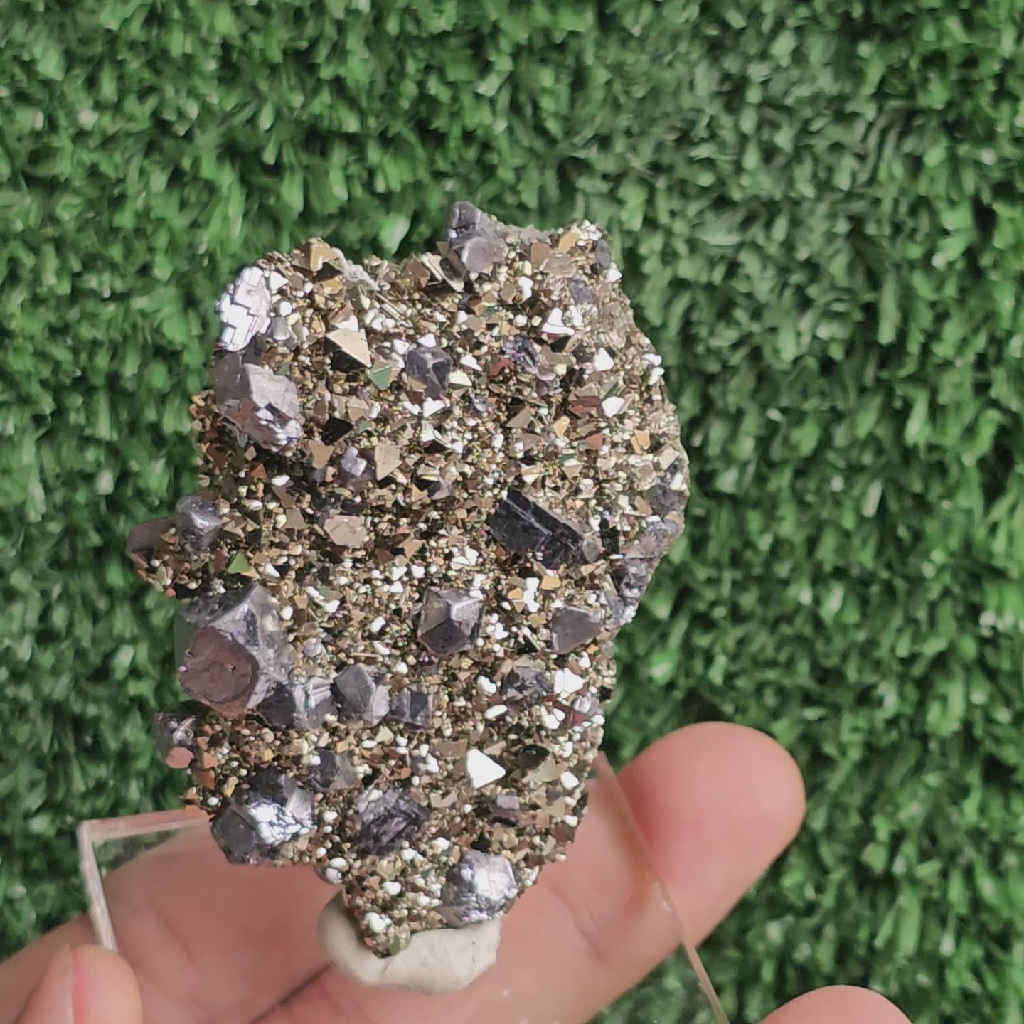 Load video: crystallized galena with Pyrite octahedral