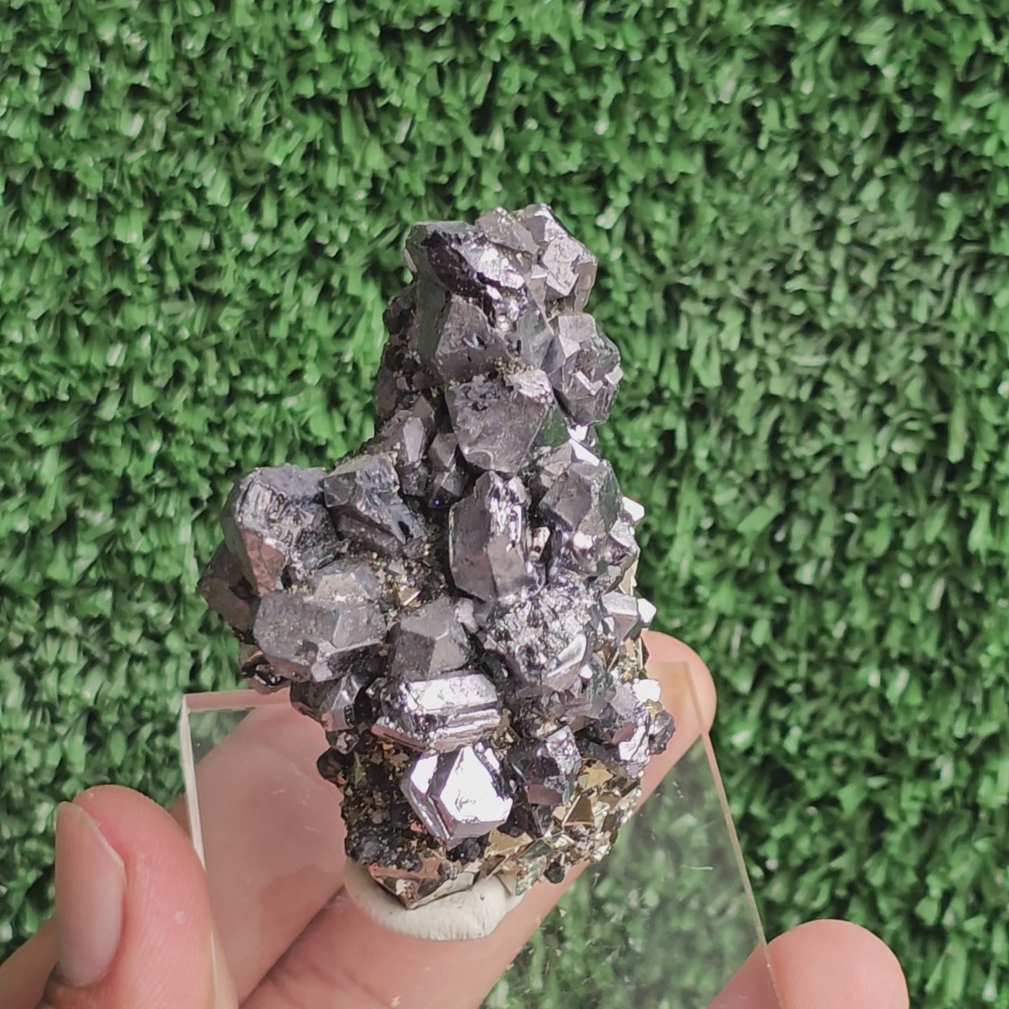 Load video: crystallized galena with Pyrite octahedral