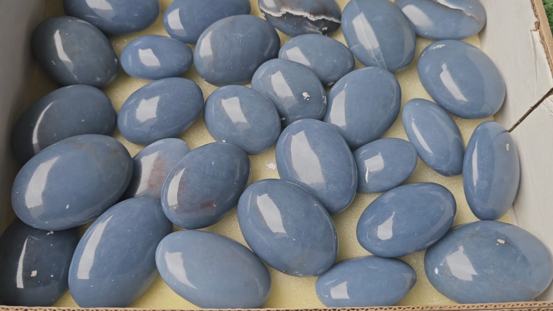 Load video: Lot 29 Angelite Palm