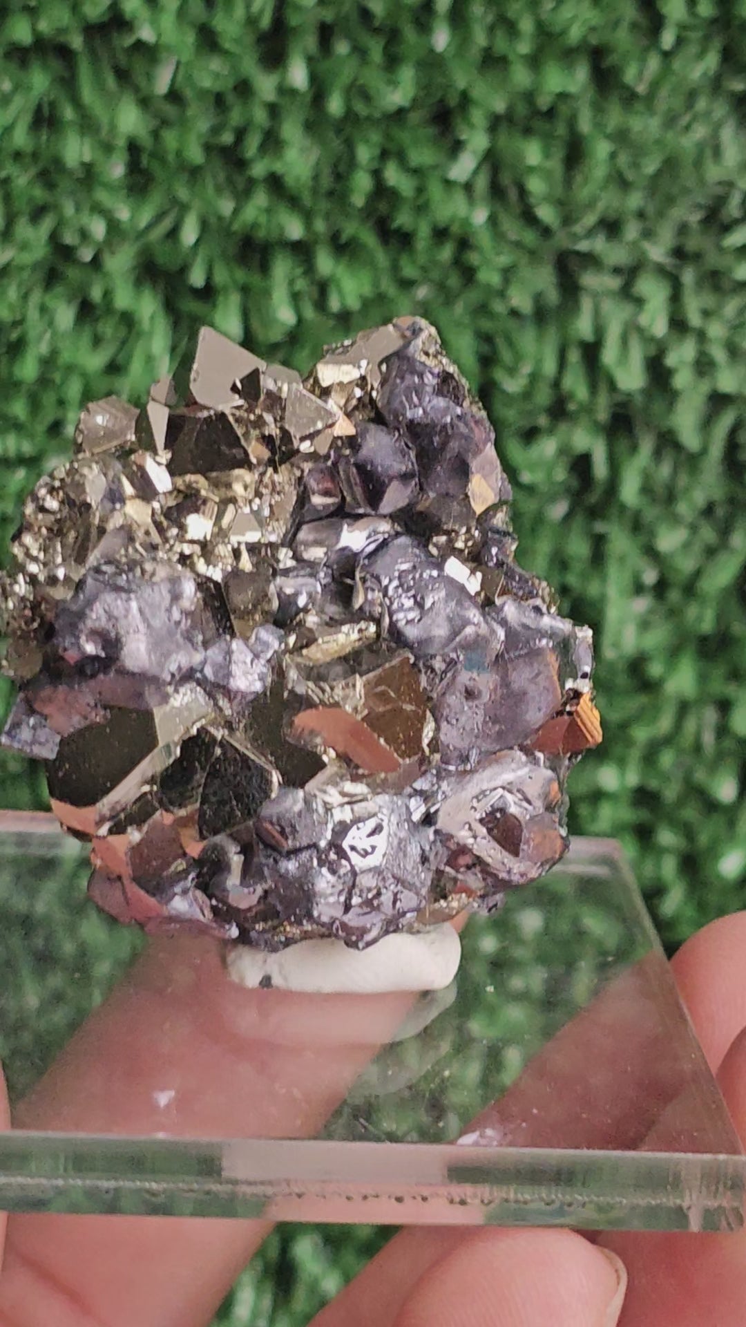 Load video: Galena with Pyrite octahedral