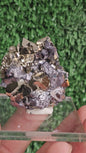 Galena with Pyrite octahedral