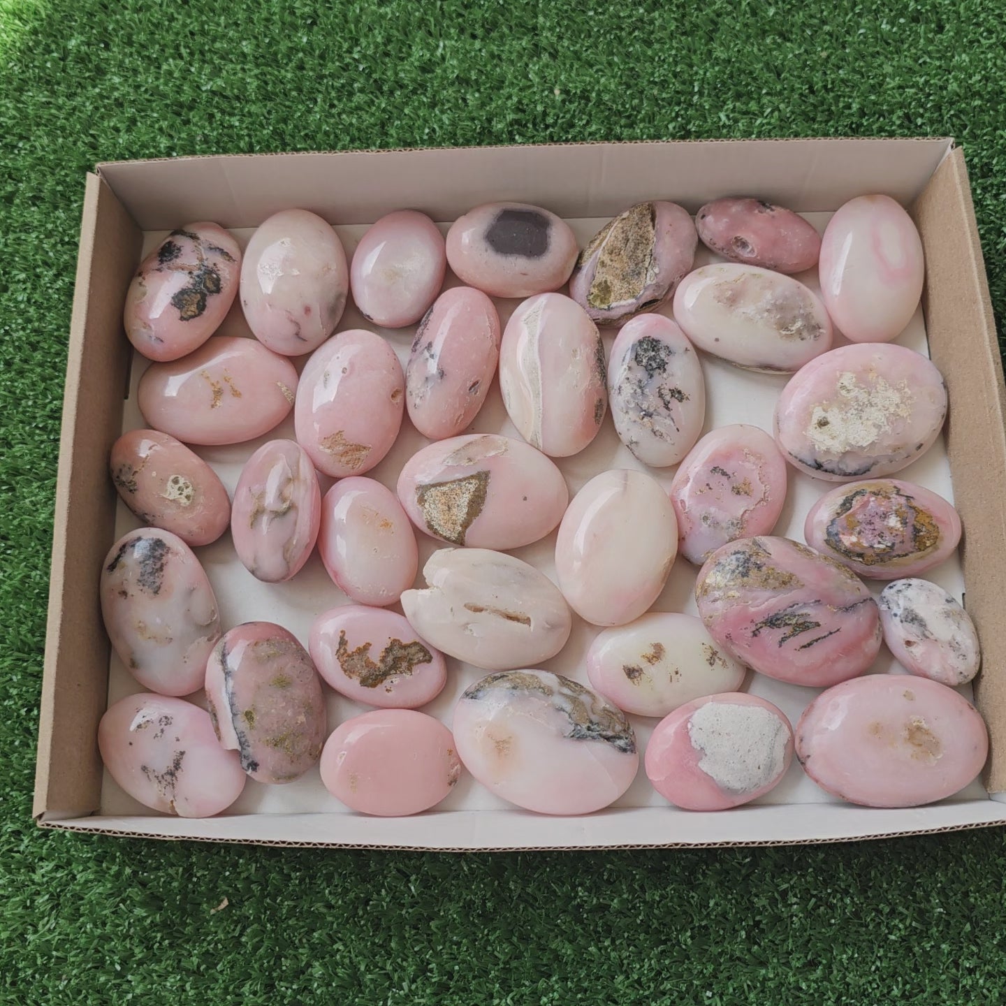 Load video: 33 pc pink opal palms