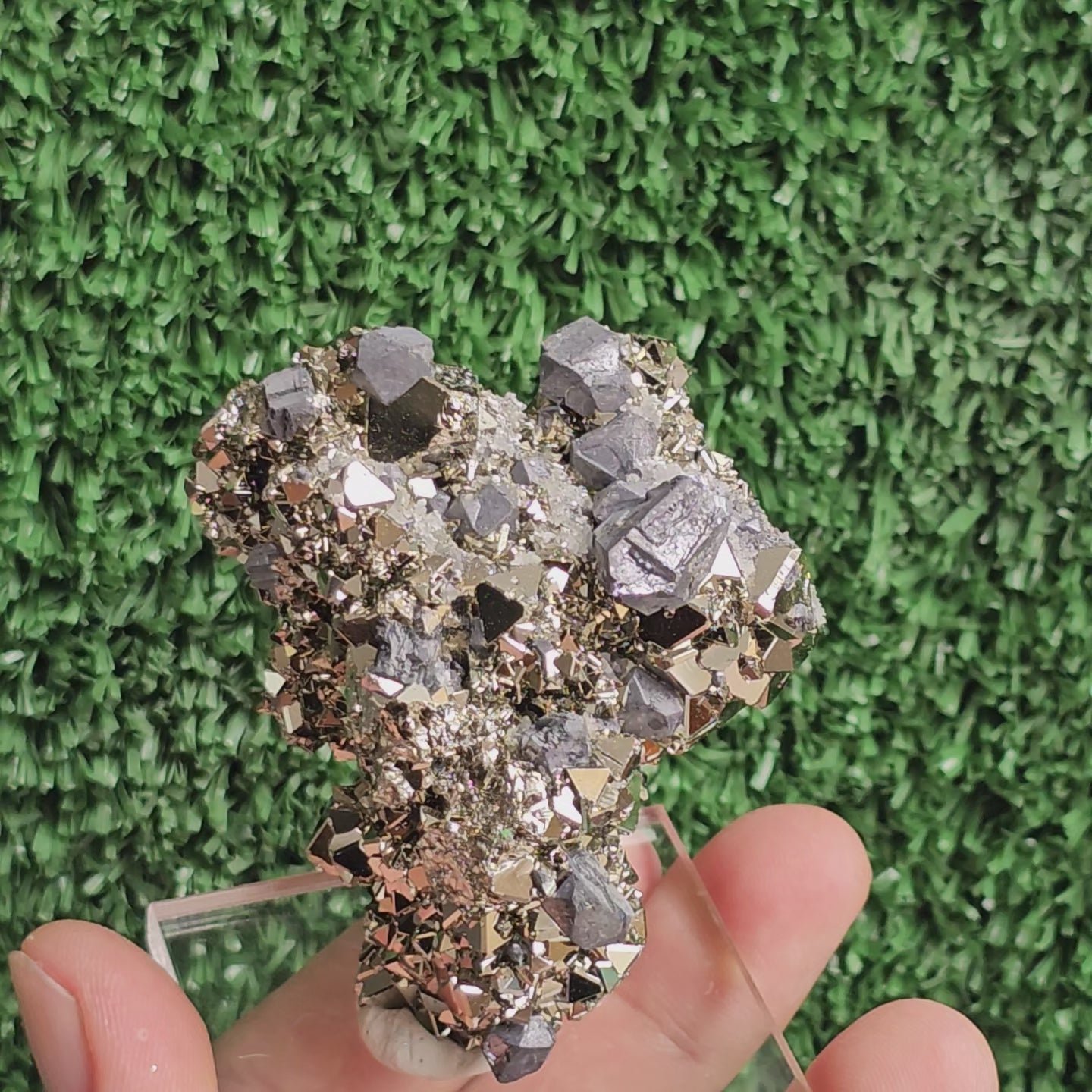 Load video: crystallized galena with Pyrite octahedral