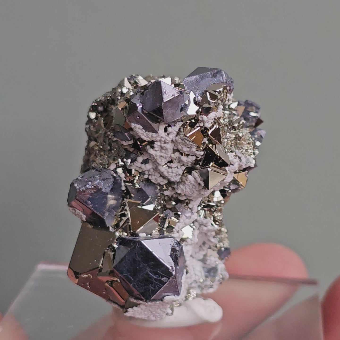 Load video: Galena with Pyrite octahedral