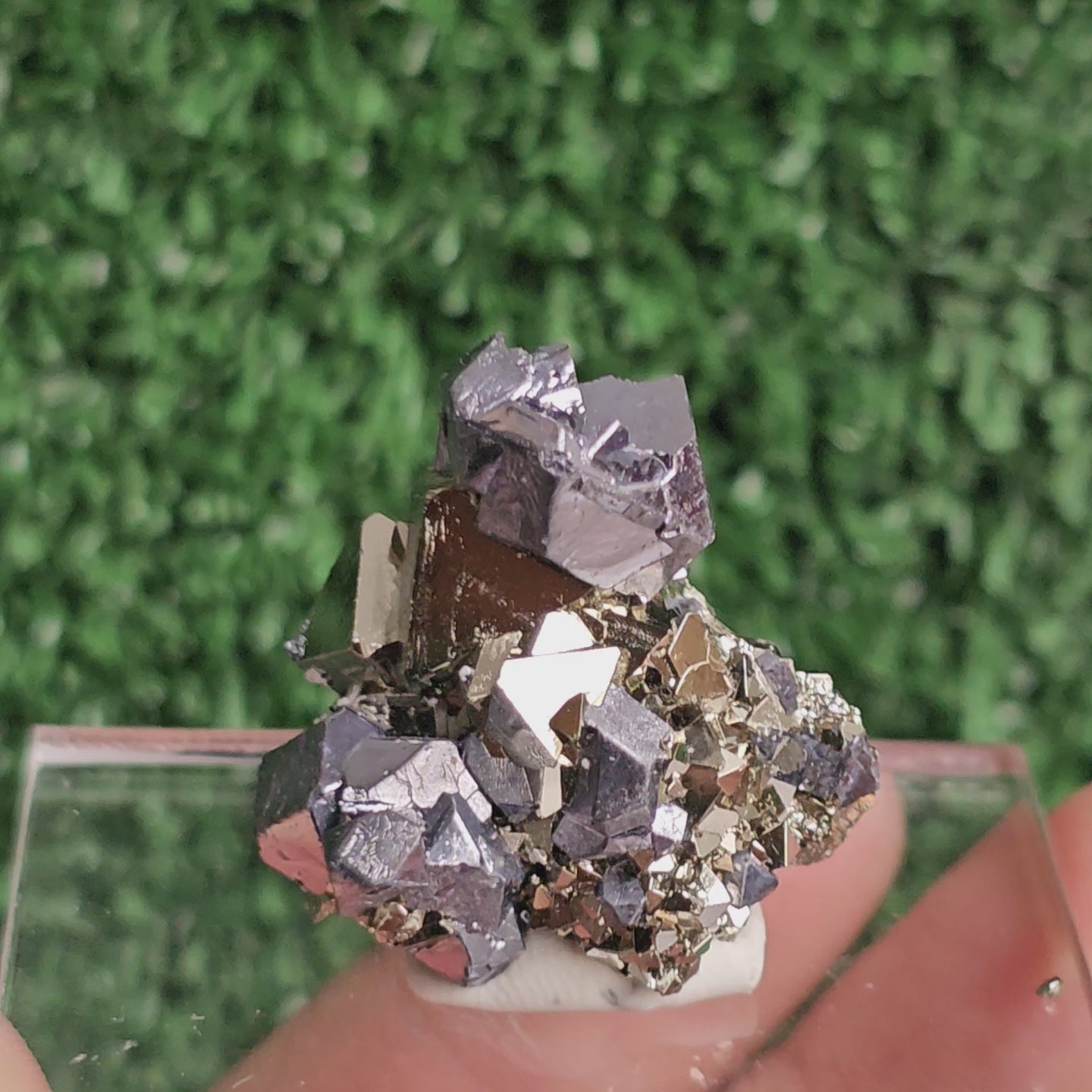 Load video: Galena with Pyrite octahedral