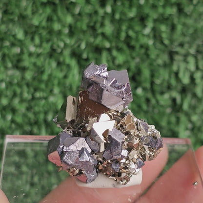 Galena with Pyrite octahedral