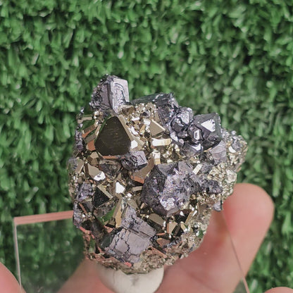 crystallized galena with Pyrite octahedral