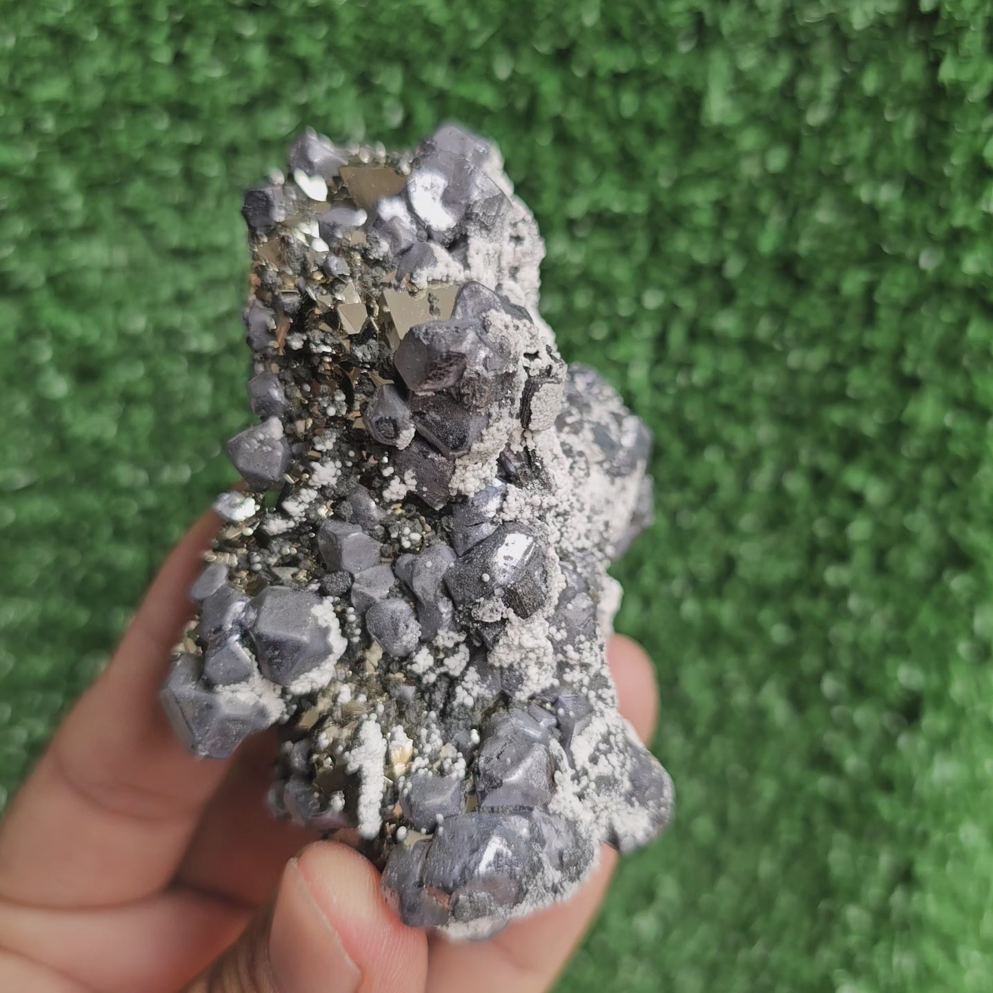 Load video: crystallized galena with Pyrite octahedral