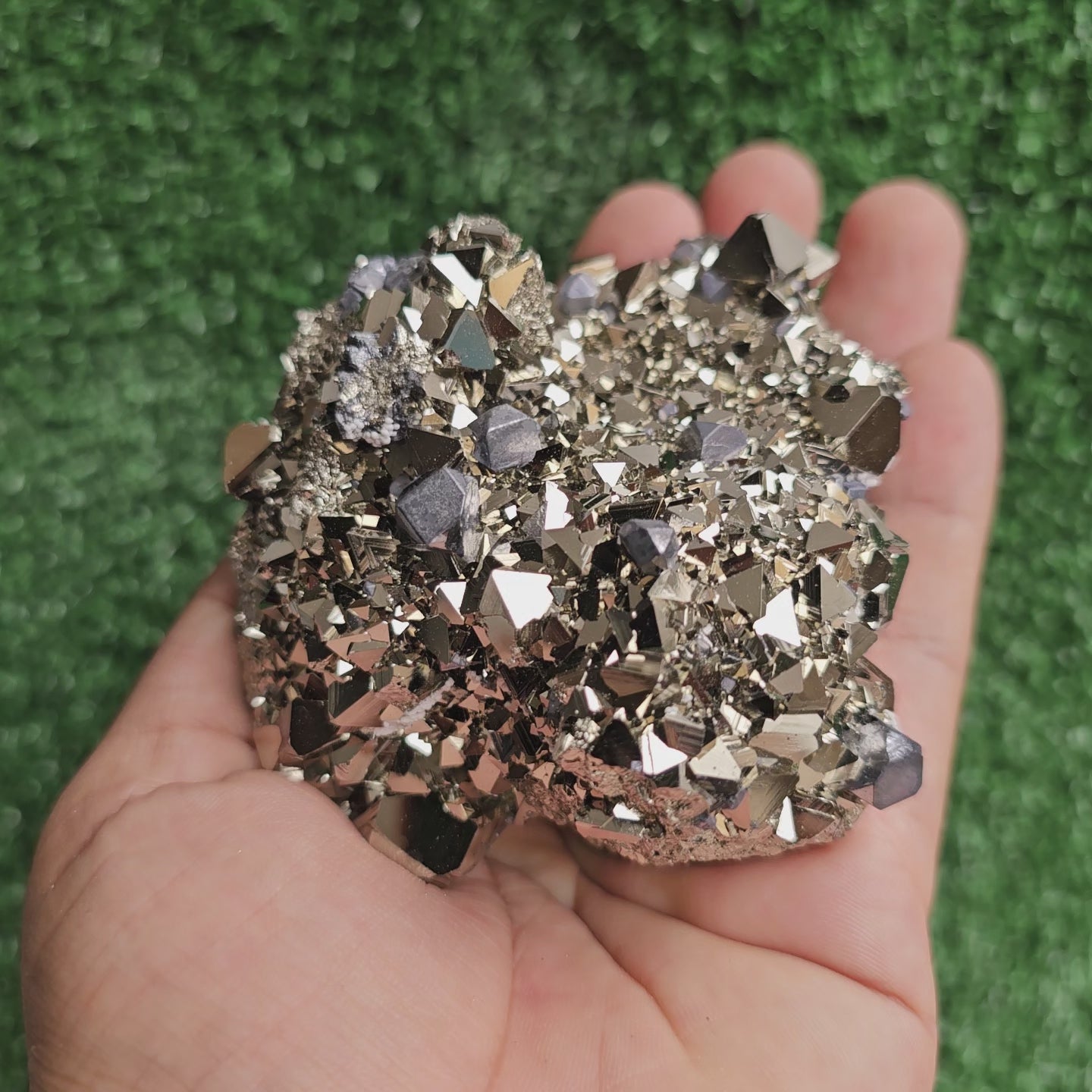 Load video: Galena Crystals on Octahedral Pyrite