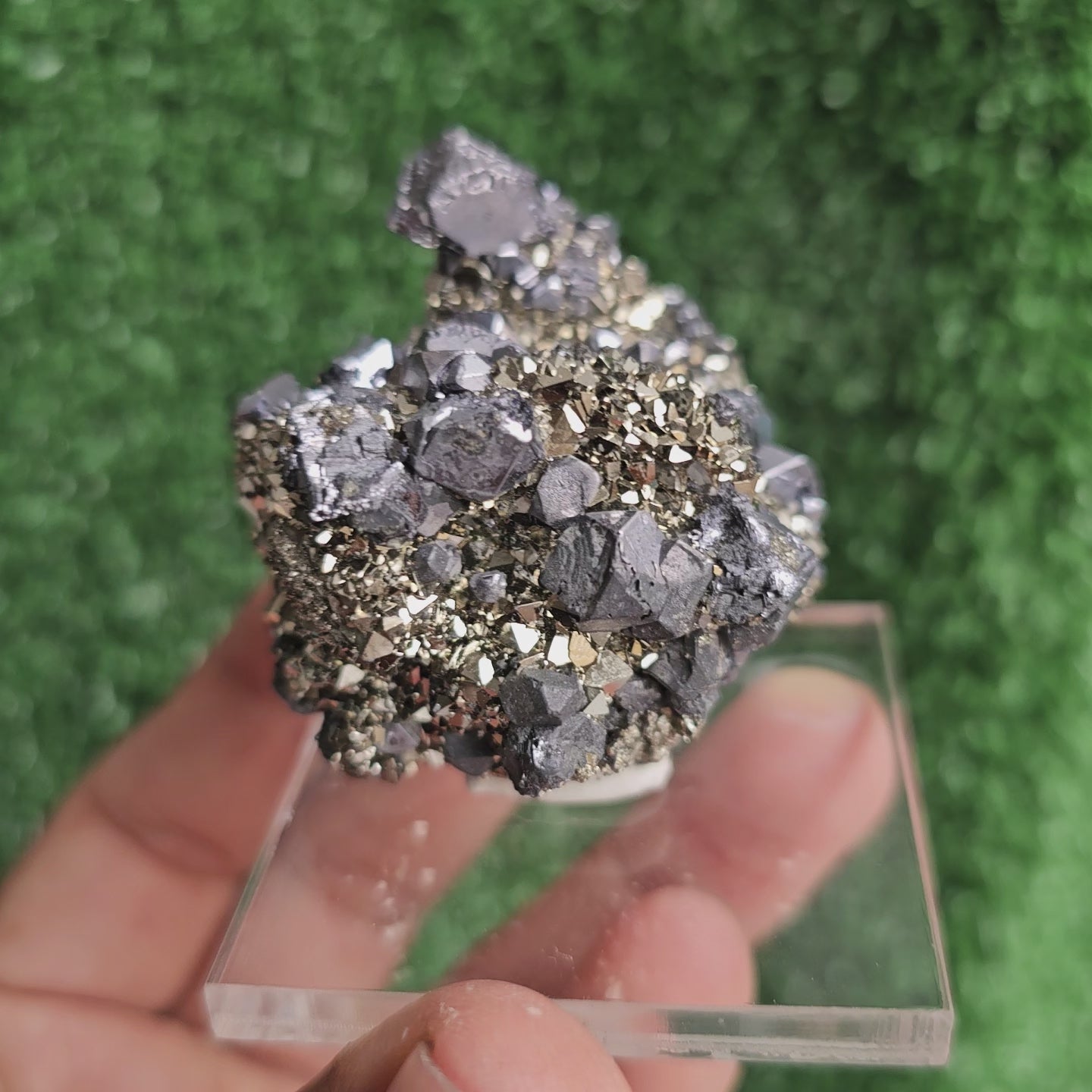 Load video: Galena with Pyrite octahedral