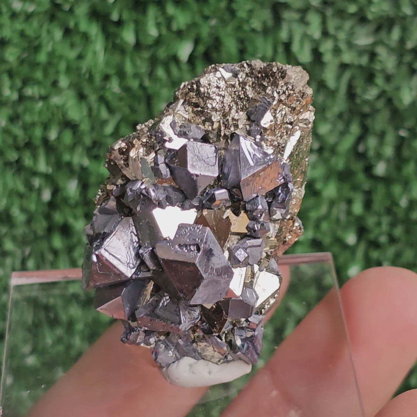 Load video: Galena with Pyrite octahedral