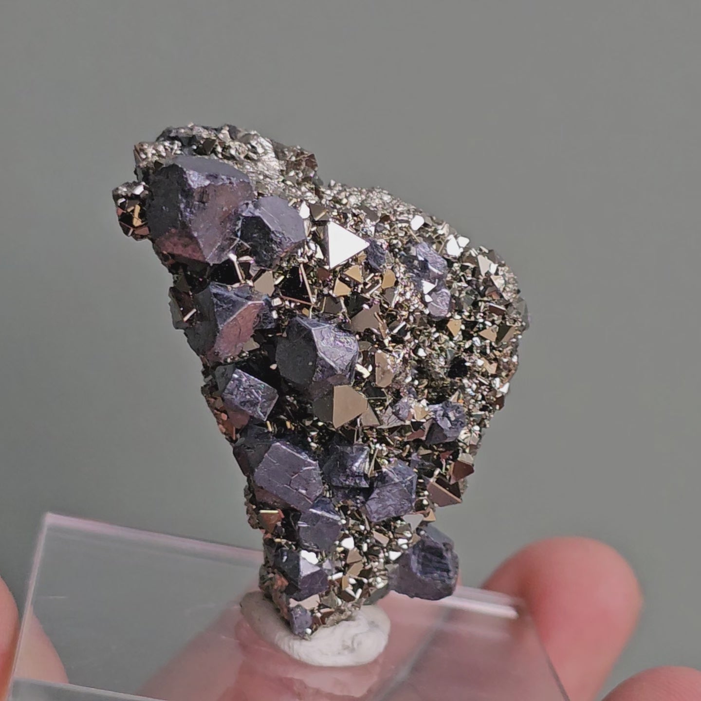 Load video: Galena with Pyrite octahedral