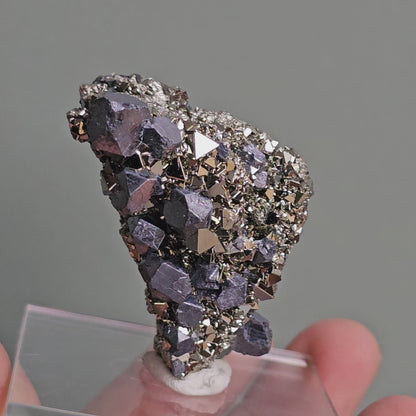 Galena with Pyrite octahedral