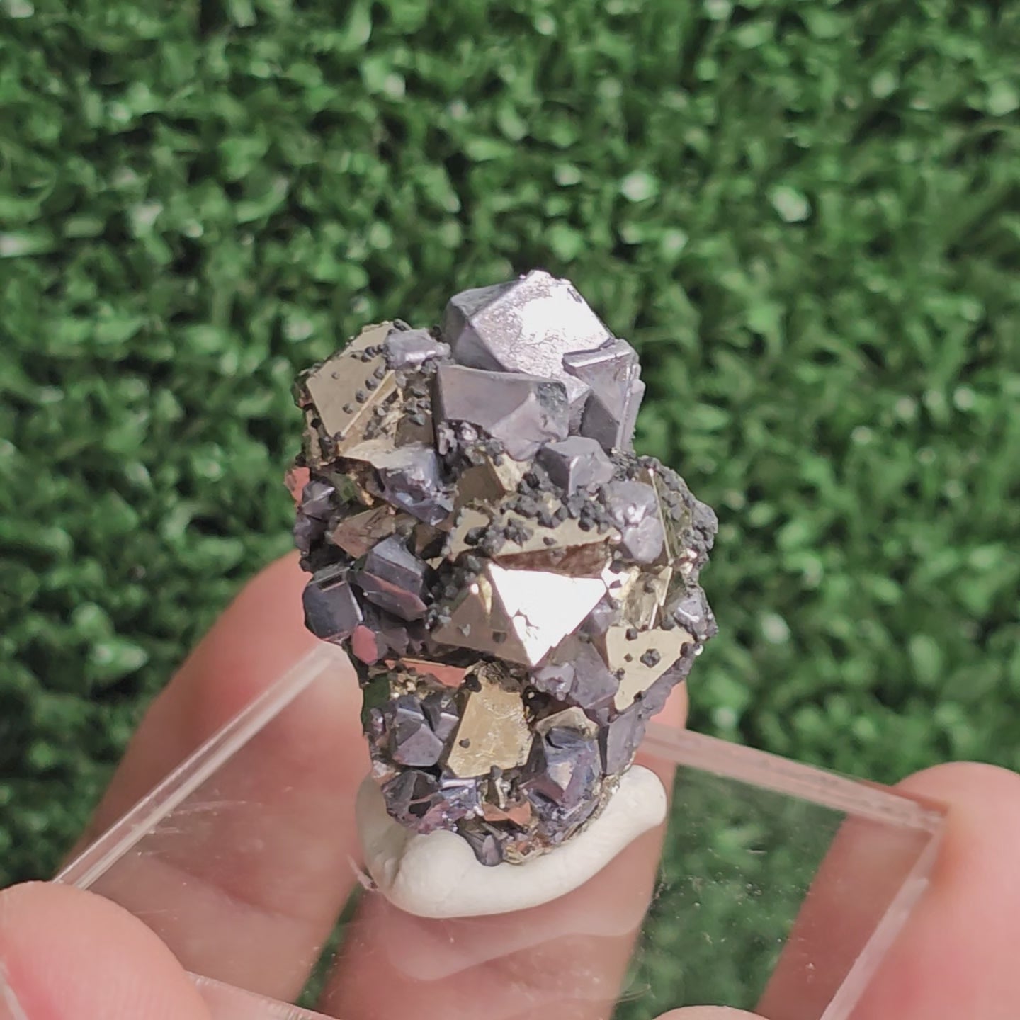 Load video: Galena with Pyrite octahedral