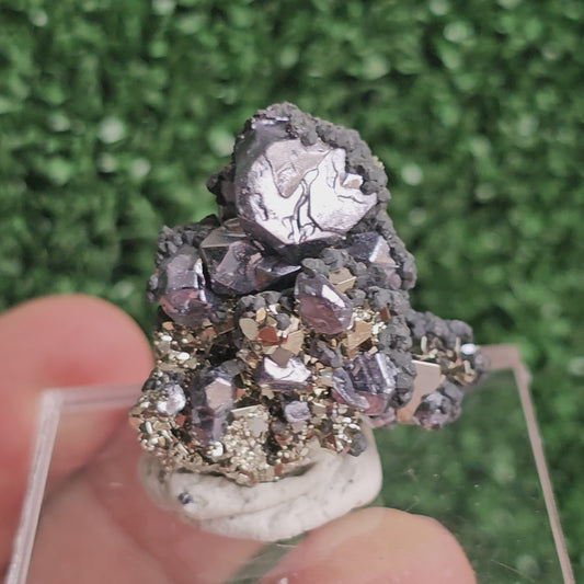 Galena with Pyrite octahedral