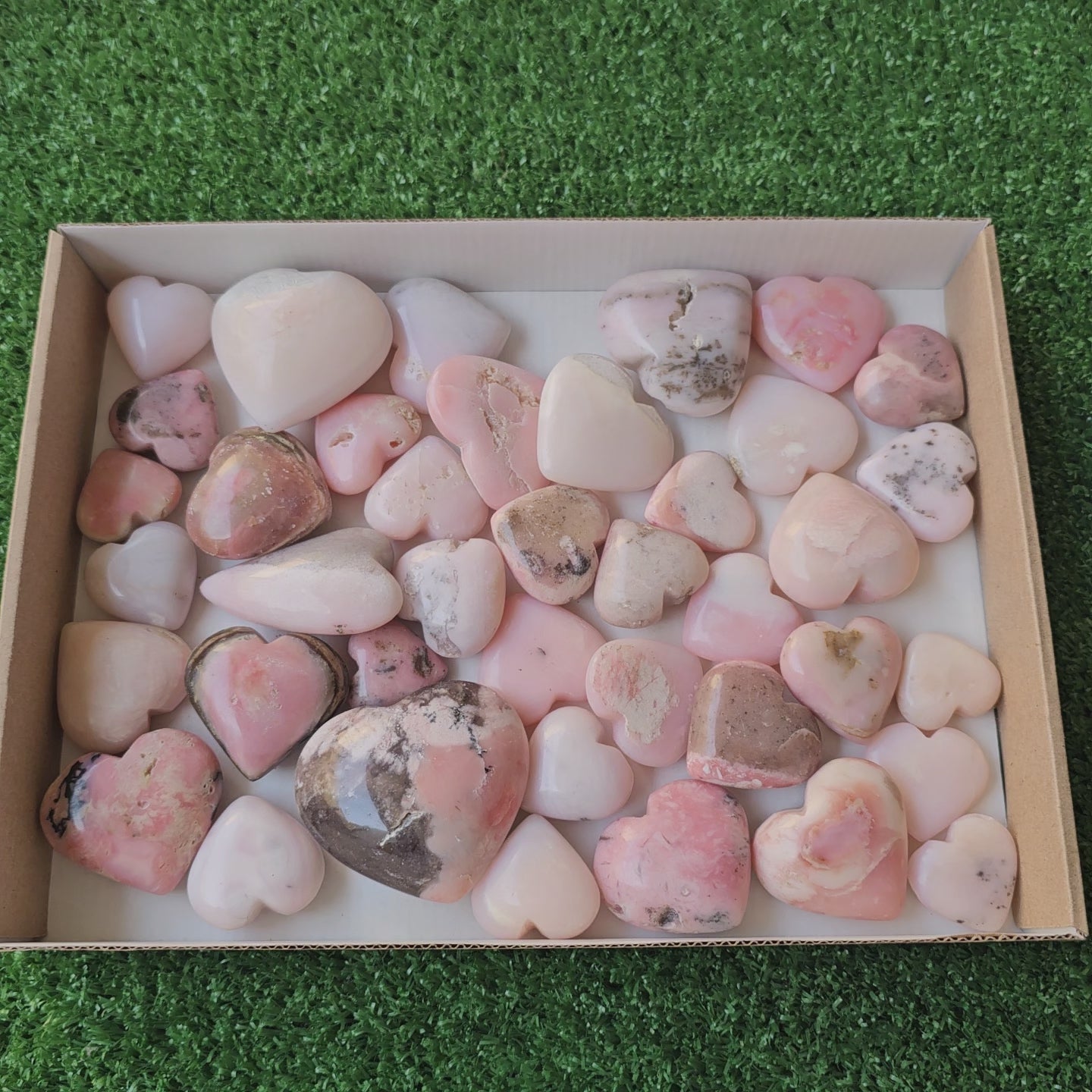 Load video: Lot 40 pcs pink opal palm
