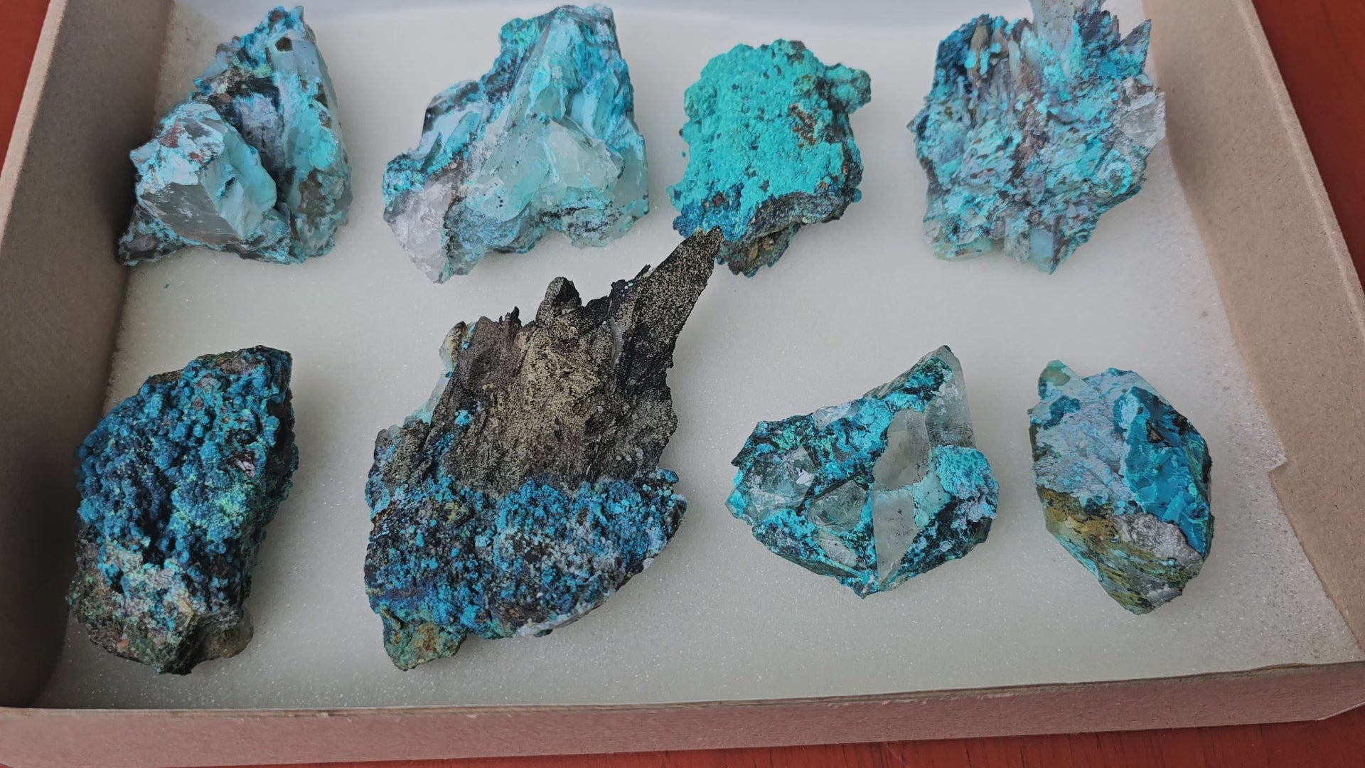 Load video: Lot 8 Chrysocolla Quartz Rough