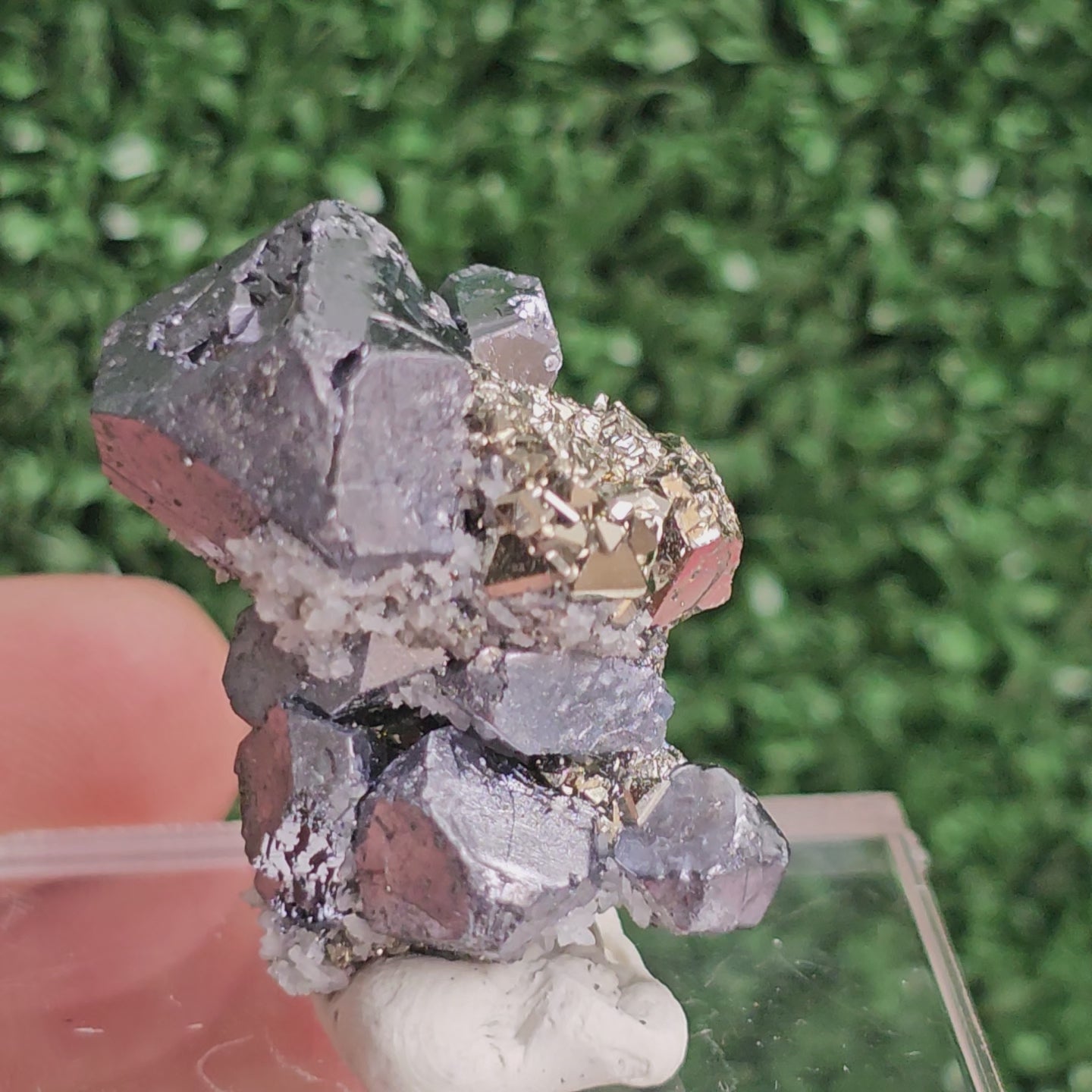 Load video: Galena with Pyrite octahedral