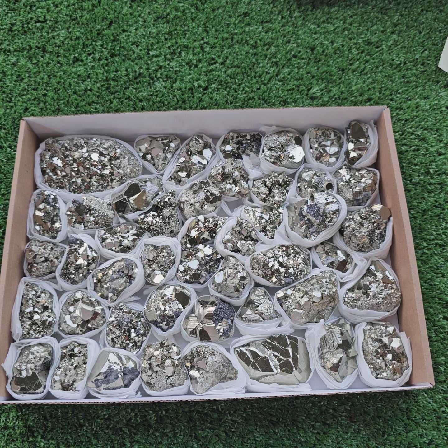 Load video: Box 46 pcs pyrite Octahedral