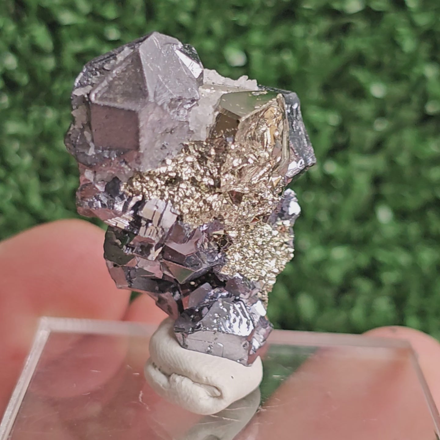 Load video: Galena with Pyrite octahedral