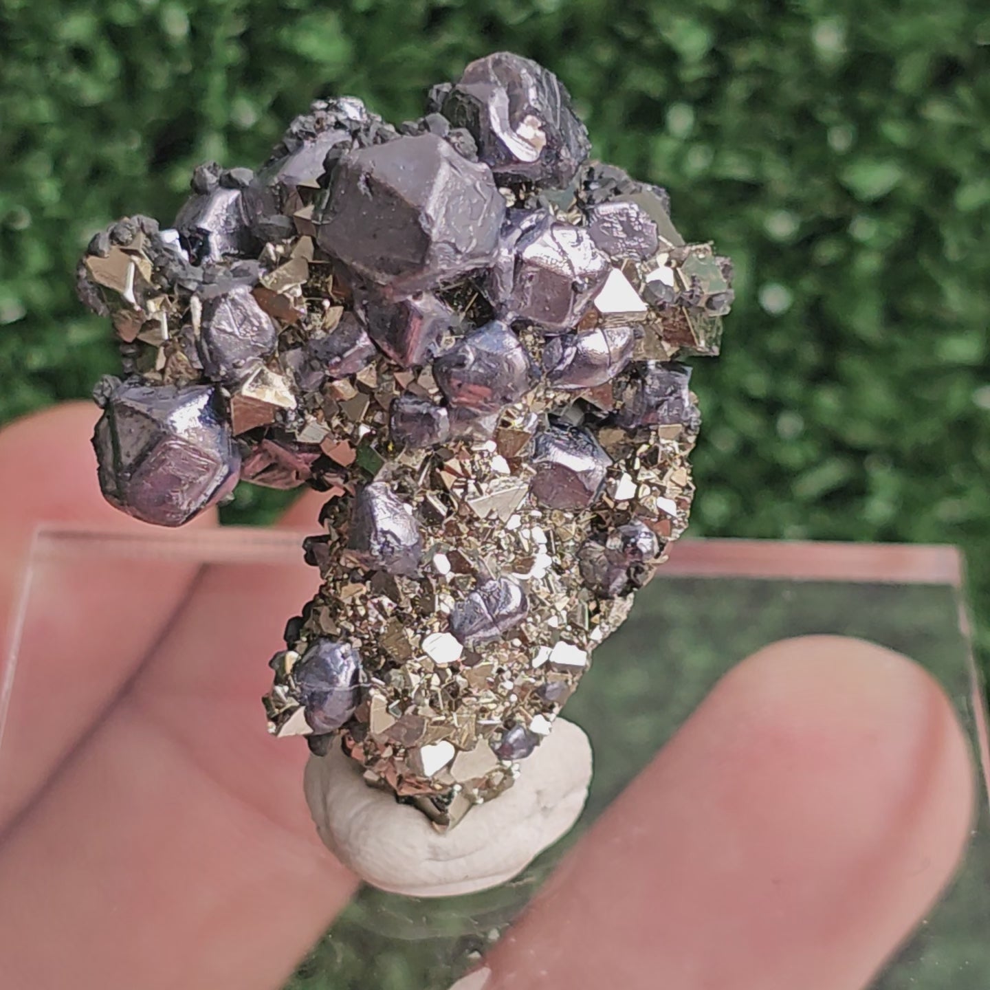 Load video: Galena with Pyrite octahedral