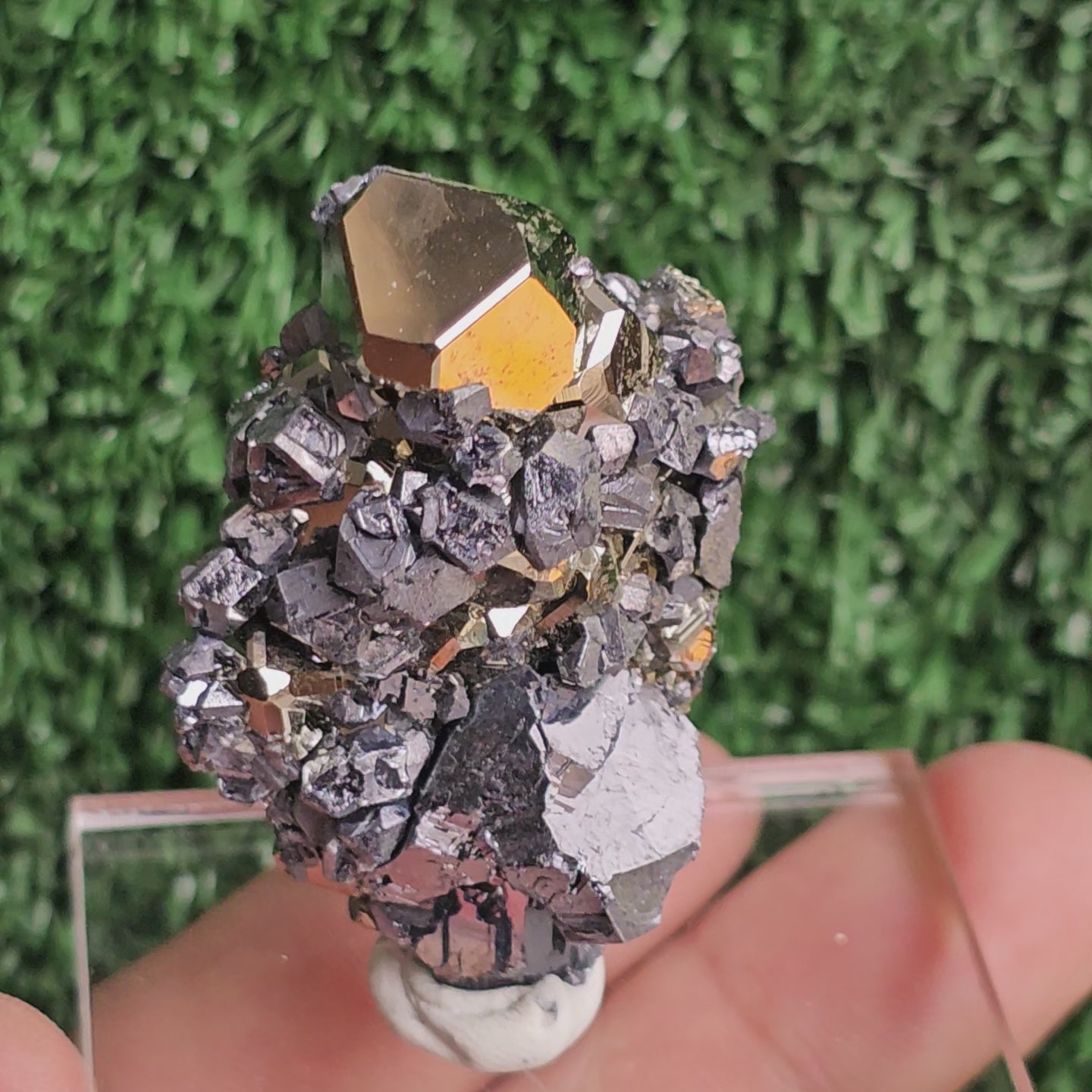 Load video: Galena with Pyrite octahedral