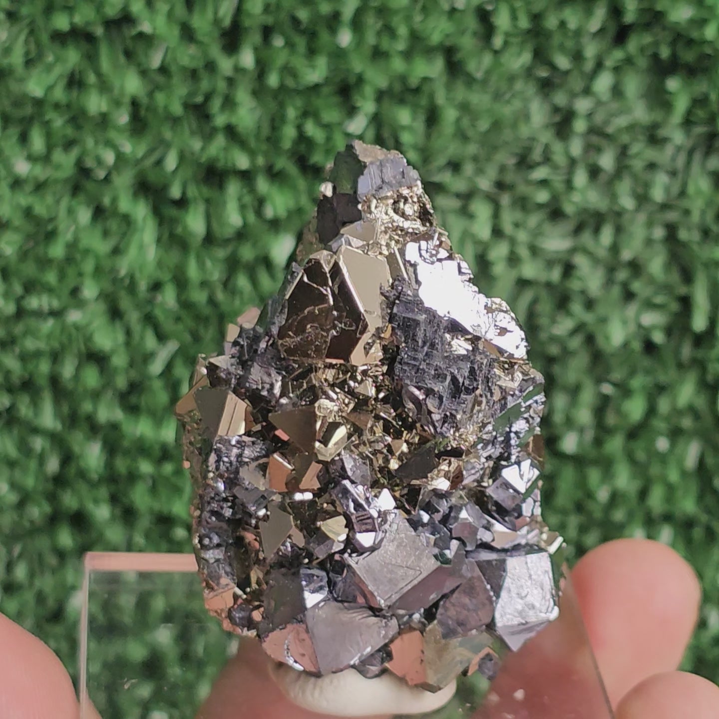 Load video: crystallized galena with Pyrite octahedral