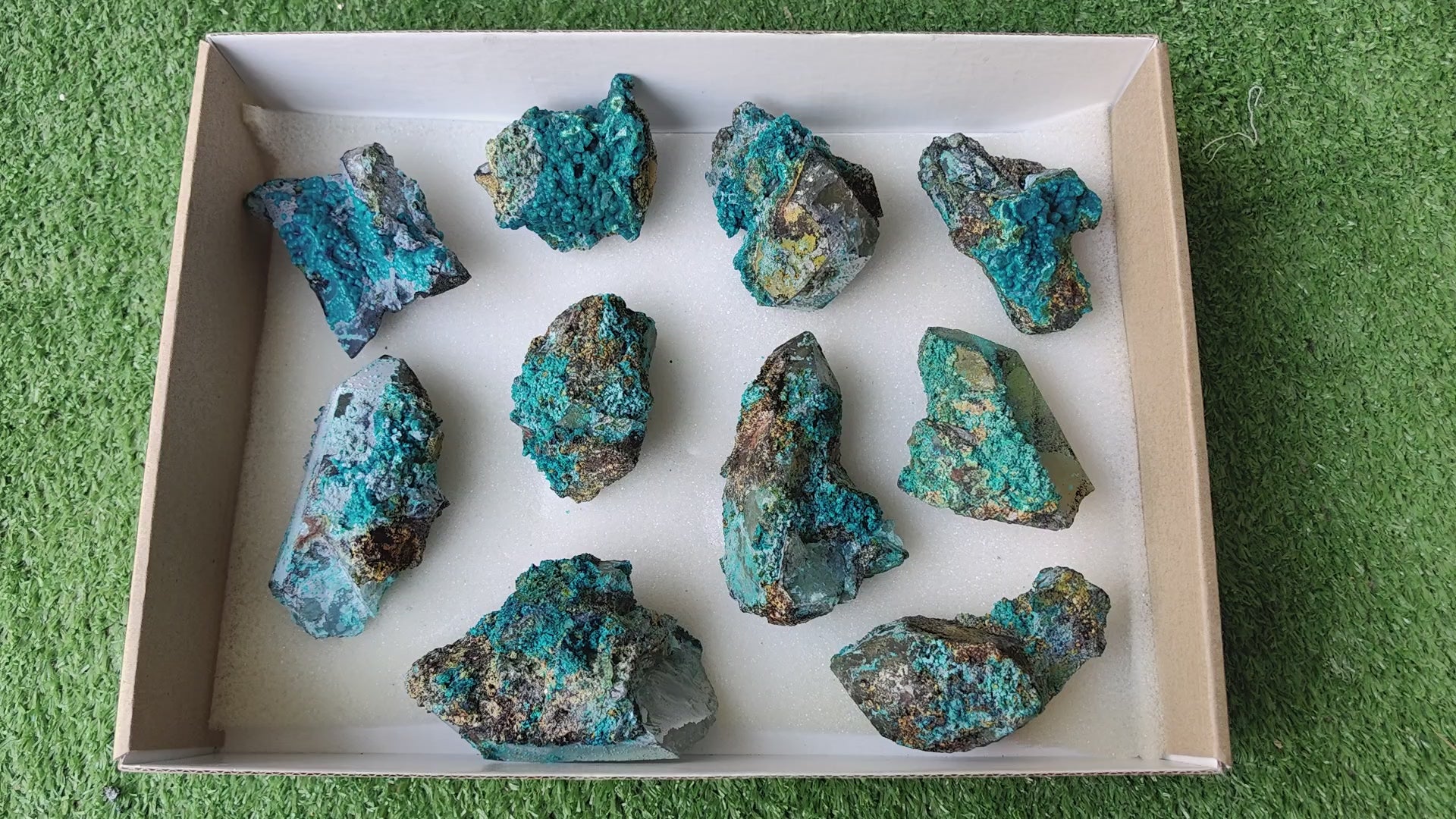 Load video: Lot 10 Chrysocolla on Quartz