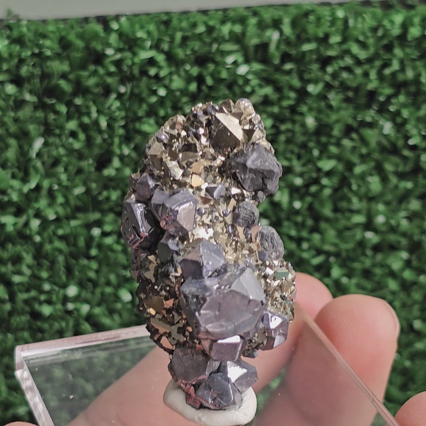 Load video: Galena with Pyrite octahedral