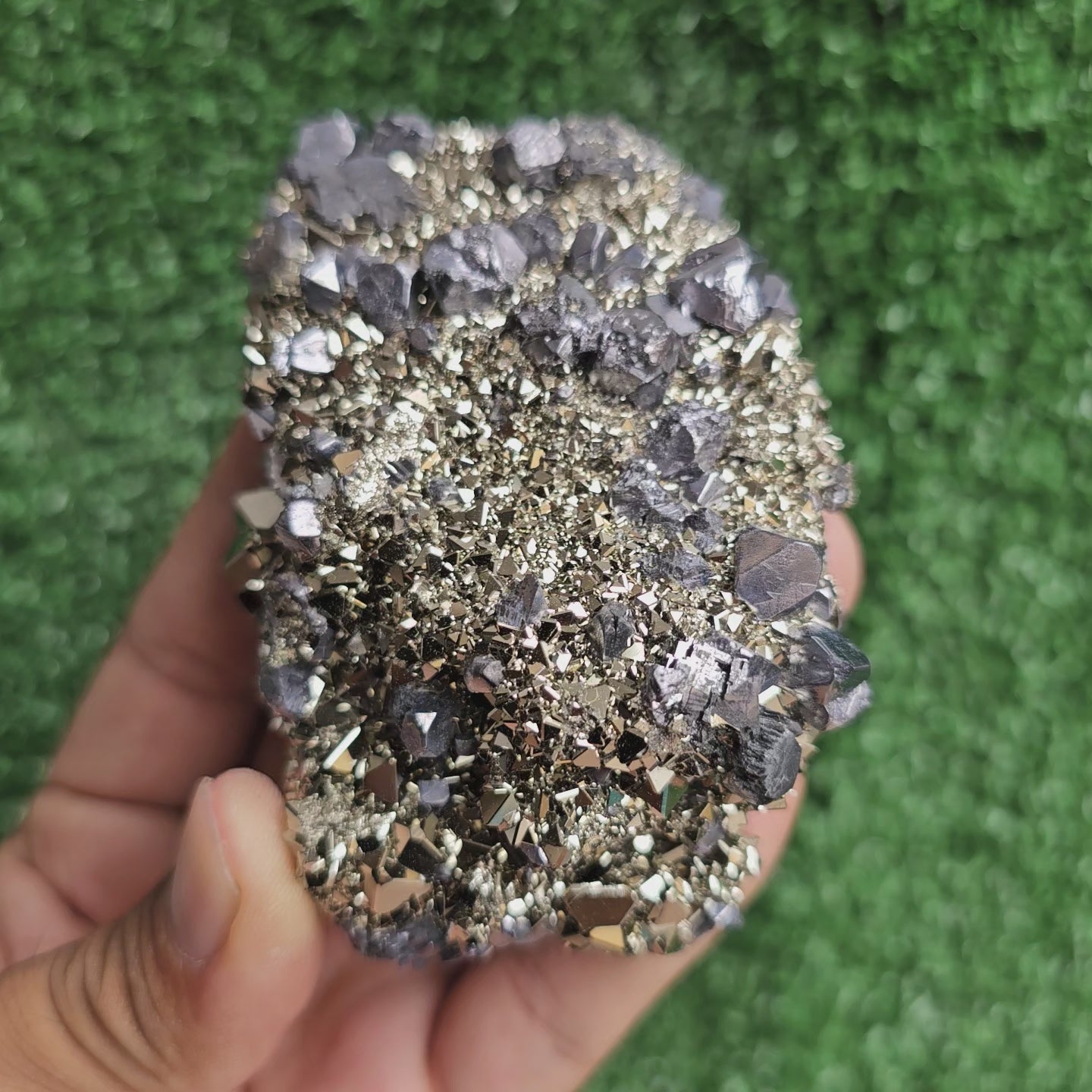 Load video: Galena Crystals on Octahedral Pyrite