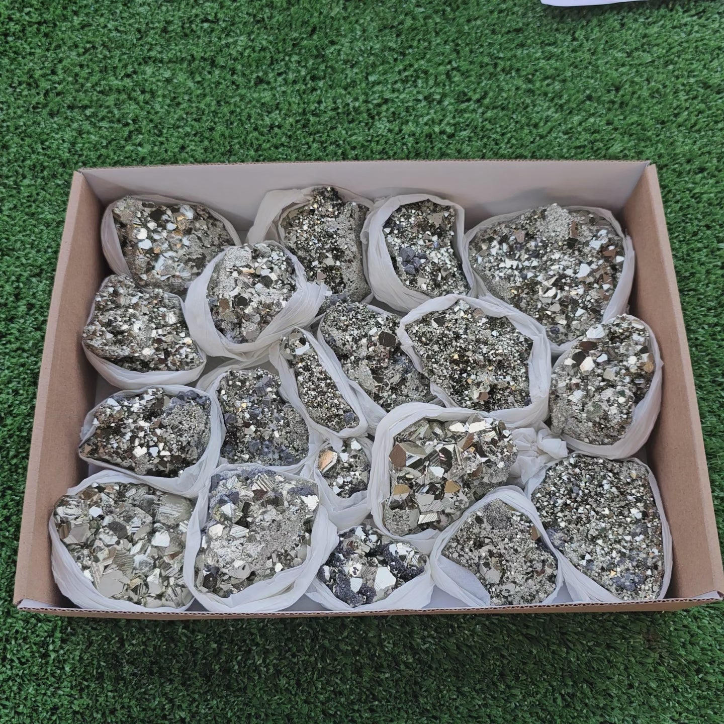 Load video: Box 19 pcs pyrite Octahedral