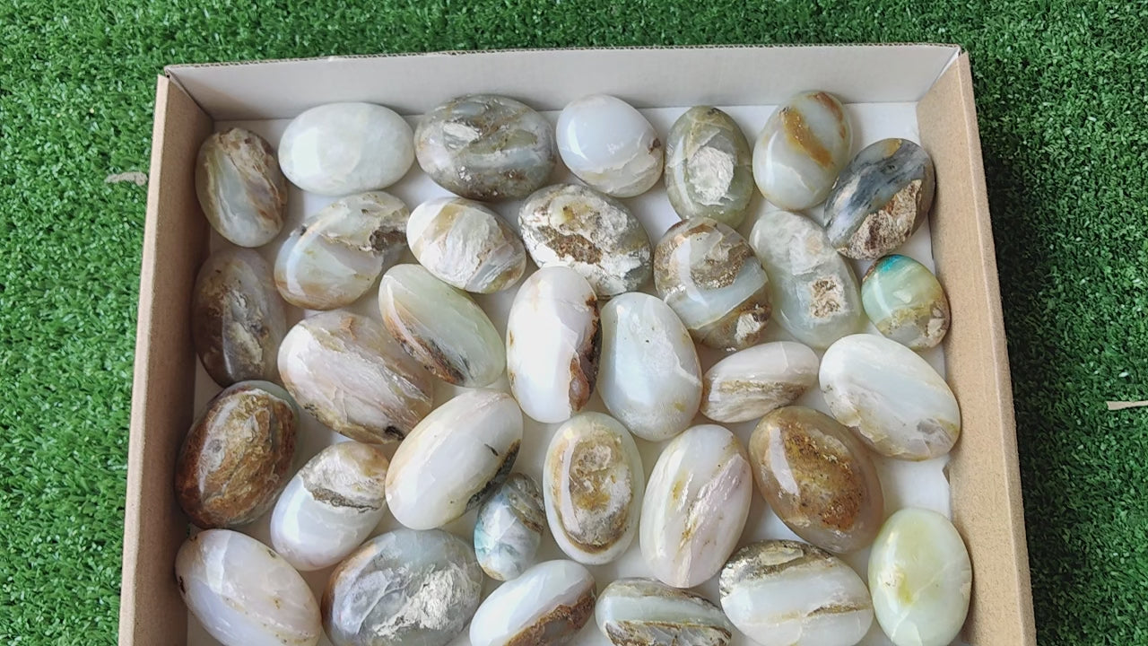 Load video: 33 pc blue opal palms