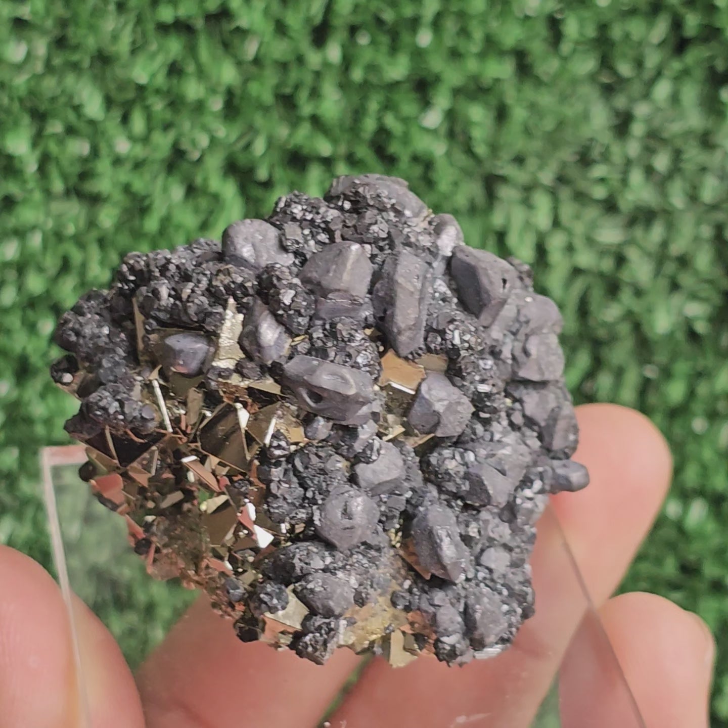 Load video: crystallized galena with Pyrite octahedral