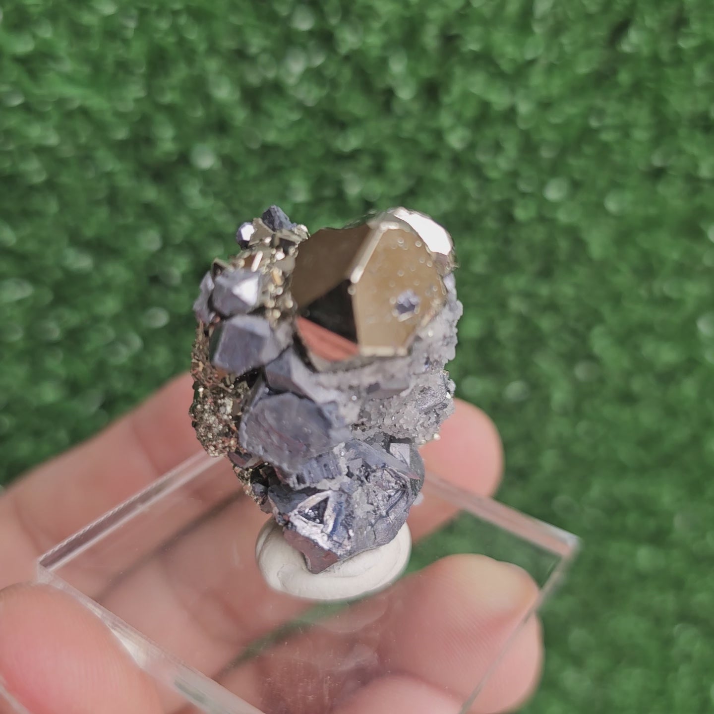Load video: Galena with Pyrite octahedral