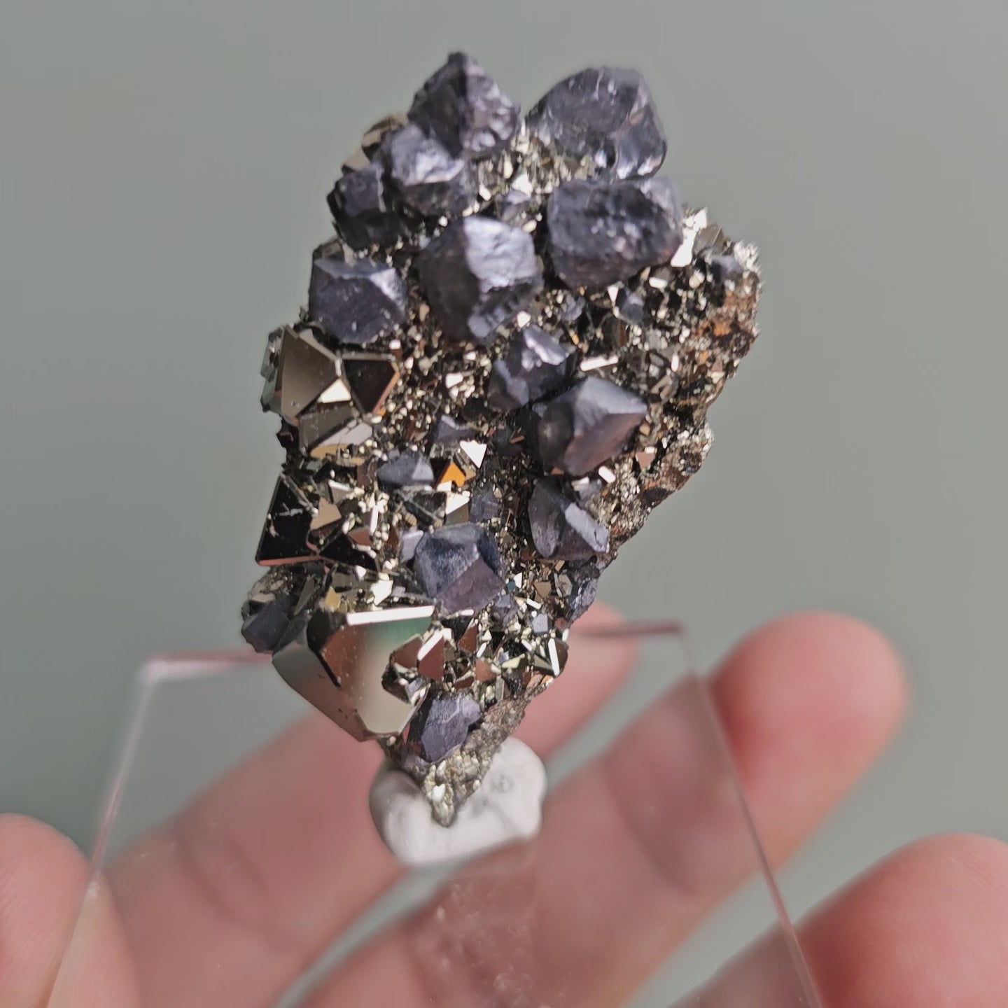Load video: Galena with Pyrite octahedral