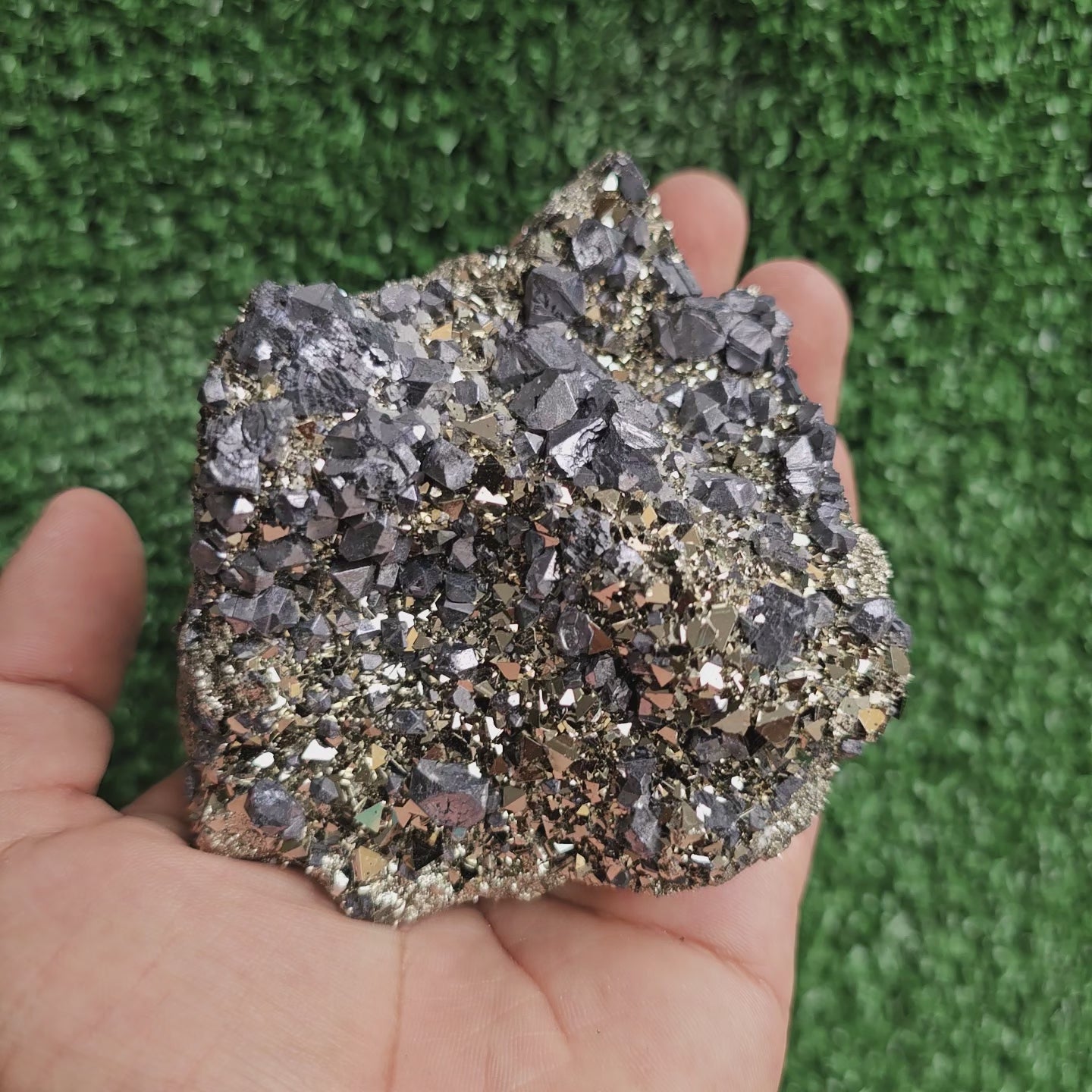 Load video: Galena Crystals on Octahedral Pyrite
