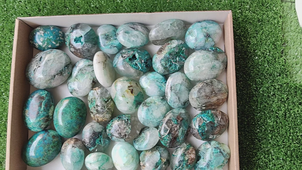 Load video: 32 pcs Chrysocolla quartz palms