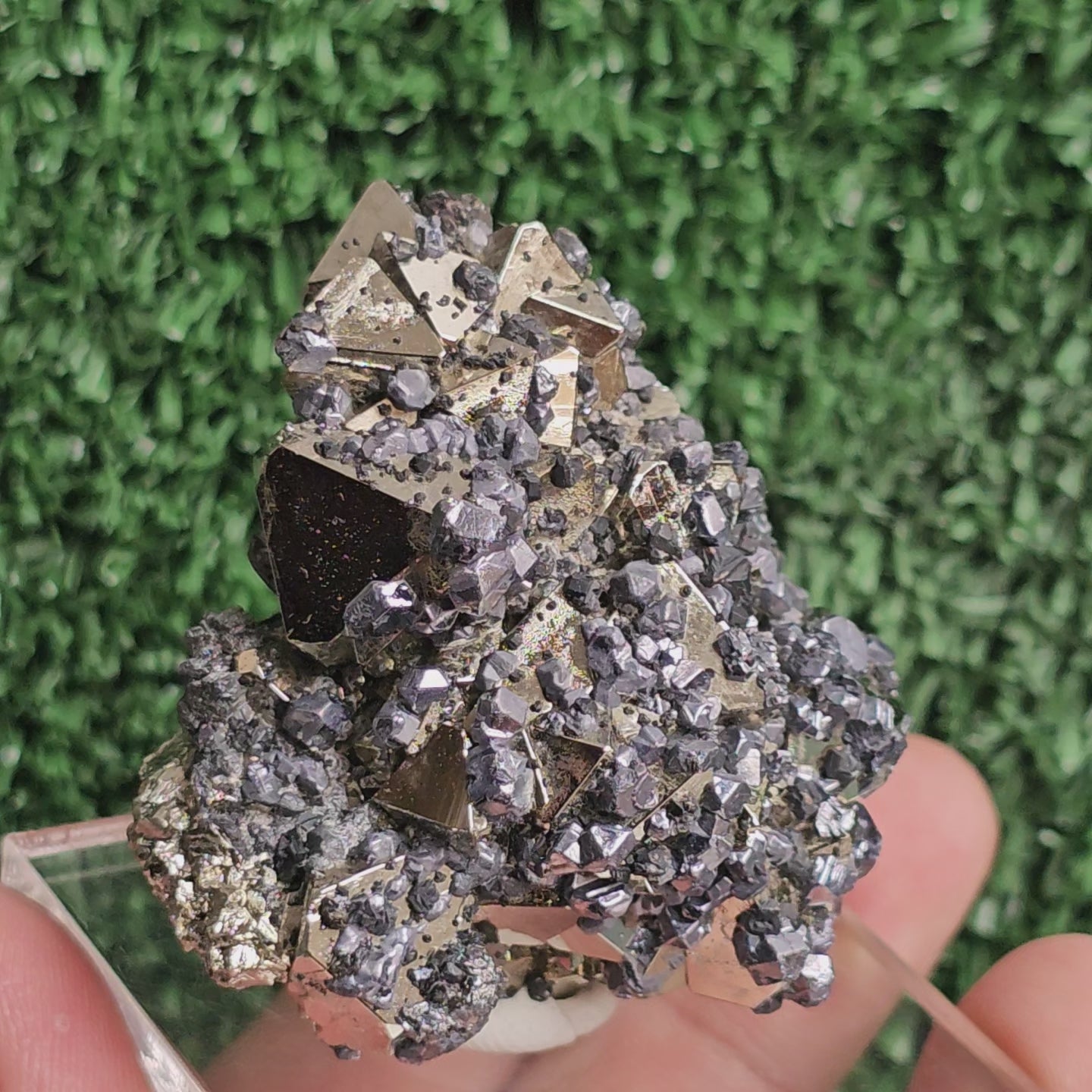Load video: crystallized galena with Pyrite octahedral