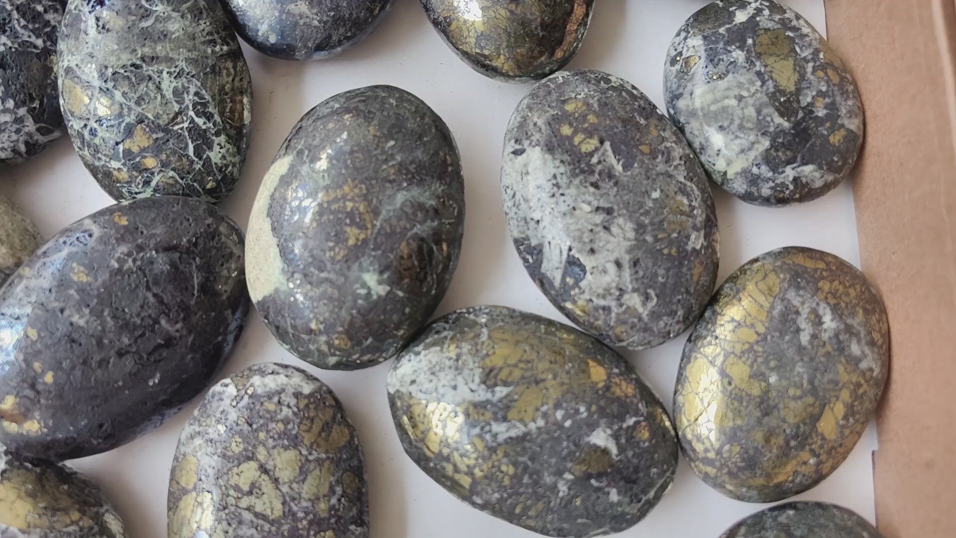 Load video: Lot 28 pcs Covellite Palms*