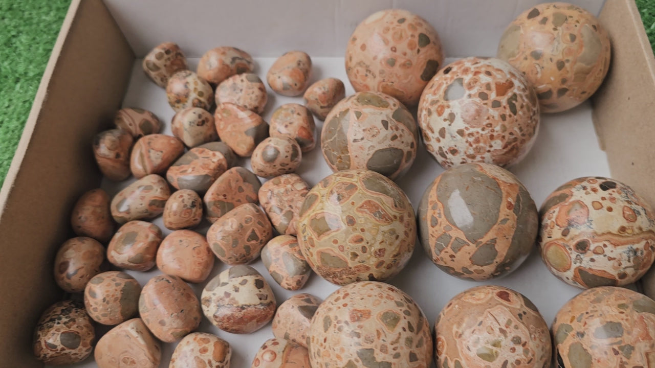 Load video: Jaspe Leopardite Sphere and Tumbled