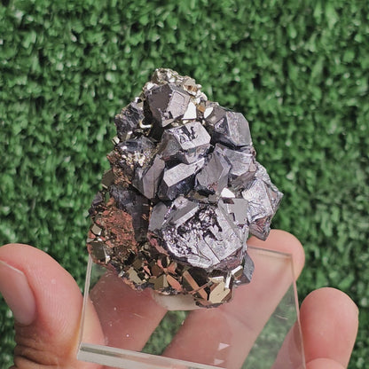 crystallized galena with Pyrite octahedral