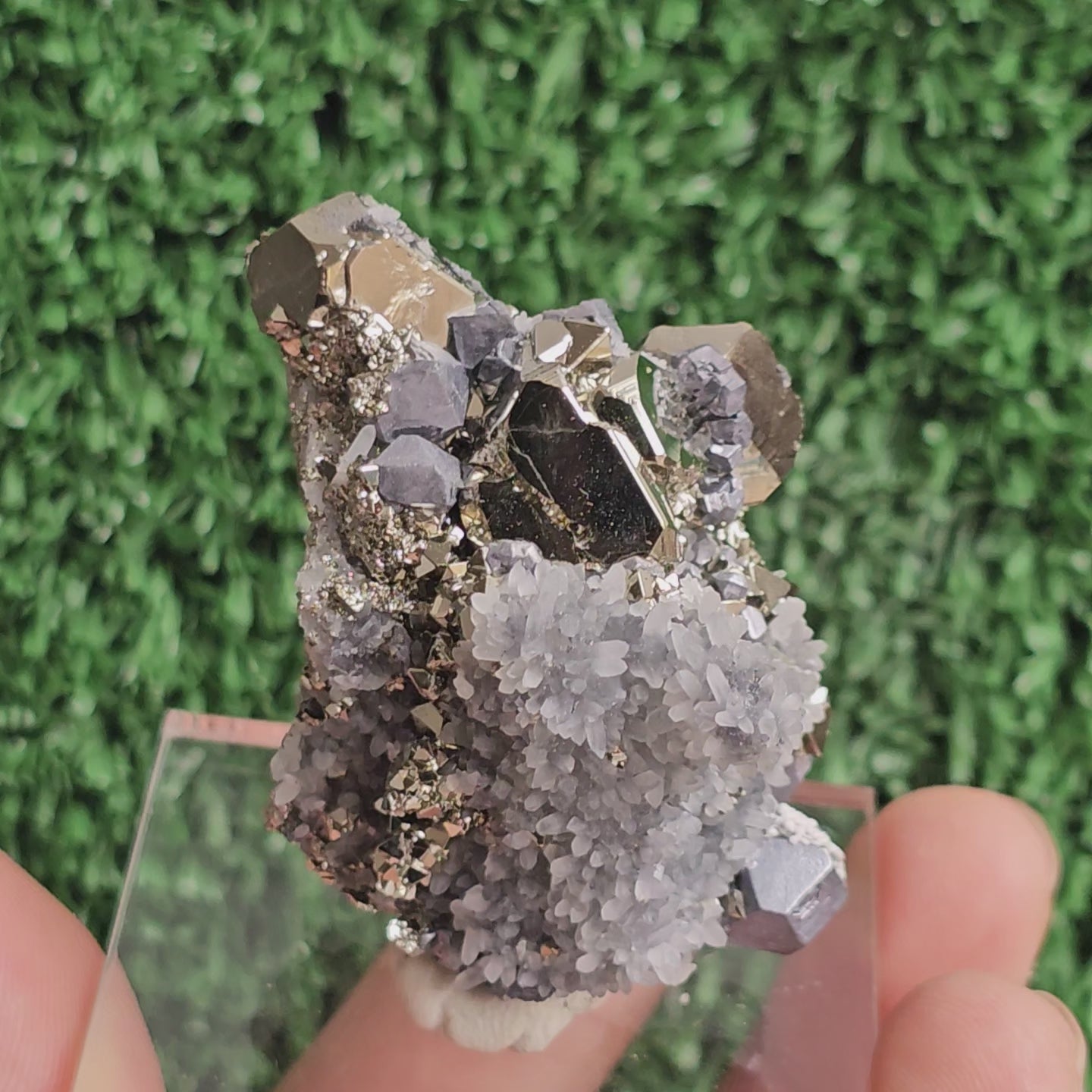 Load video: crystallized galena with Pyrite octahedral