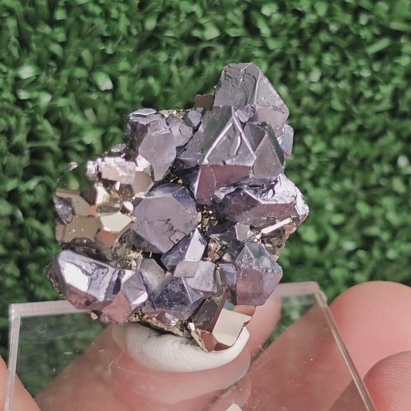 Load video: Galena with Pyrite octahedral