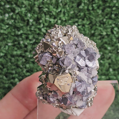 Galena with Pyrite octahedral