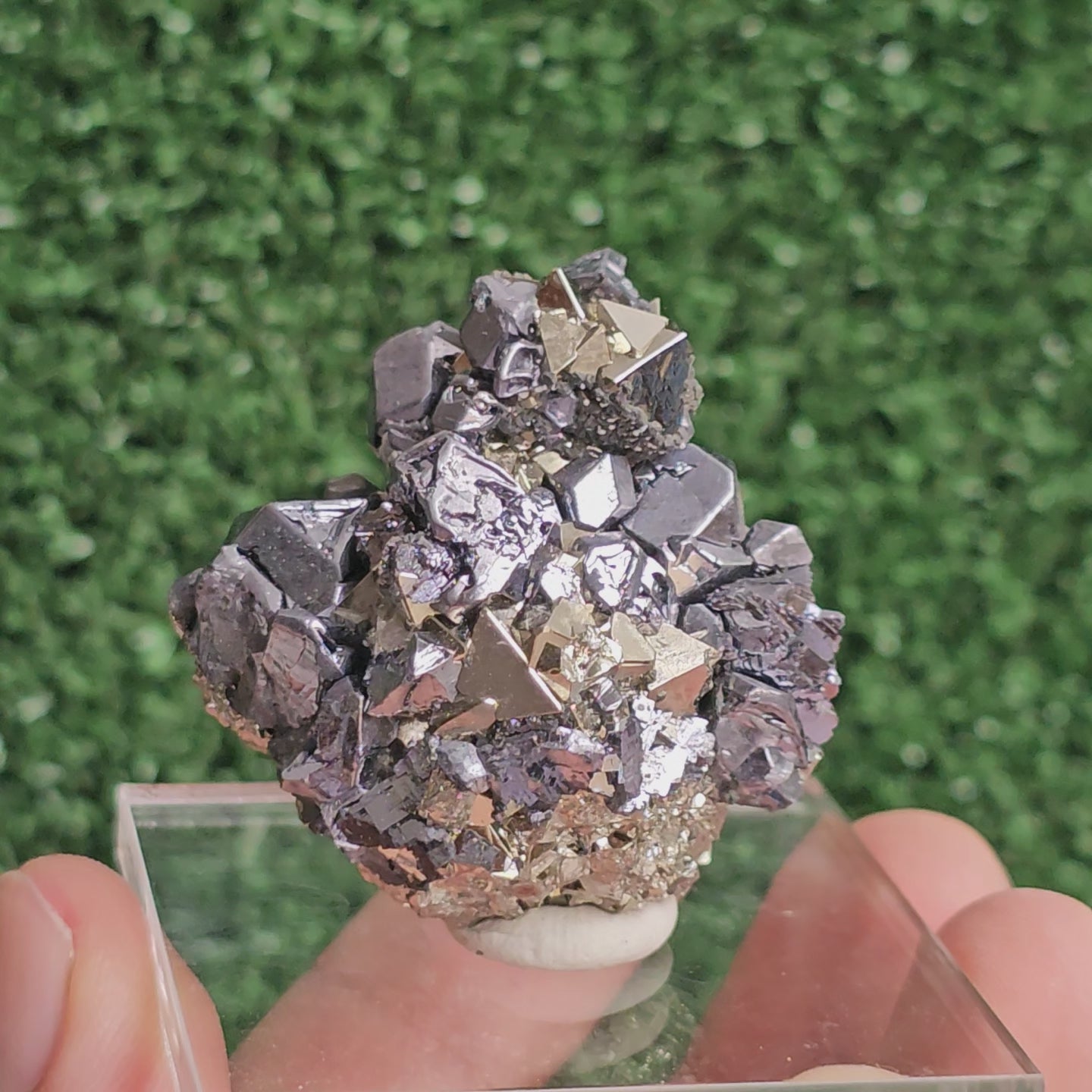 Load video: Galena with Pyrite octahedral