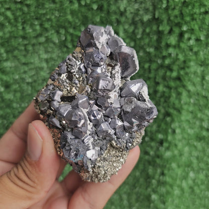 Galena Crystals on Octahedral Pyrite