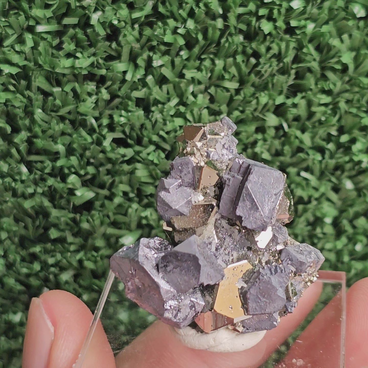 Load video: Galena with Pyrite octahedral
